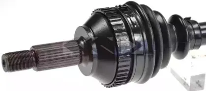 lobro-302406
