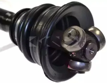 lobro-303503