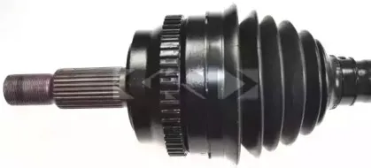 lobro-303506