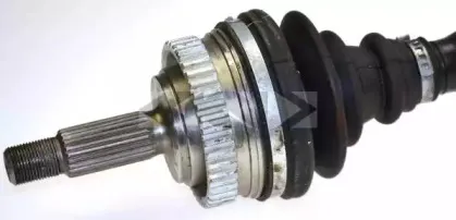 lobro-303456