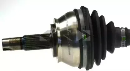 lobro-303531