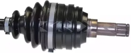 lobro-303554