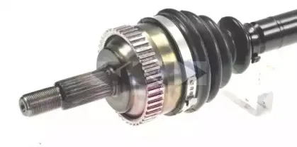 lobro-304004