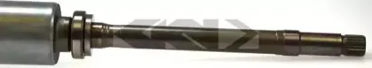 lobro-301831