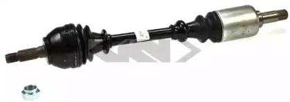 lobro-301832