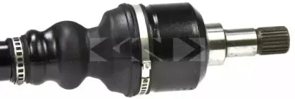 lobro-302926