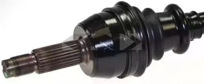 lobro-303545