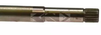 lobro-303571