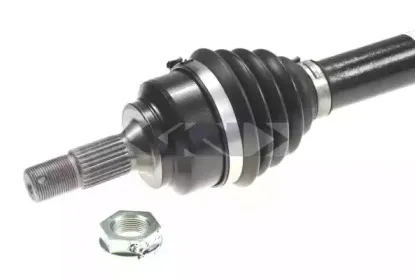 lobro-303574