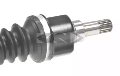 lobro-303574
