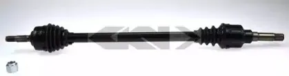 lobro-303466