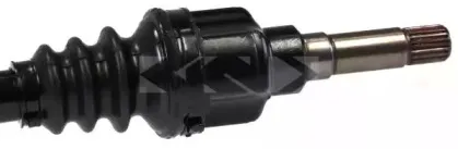 lobro-303466