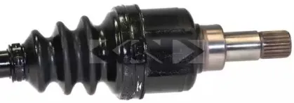 lobro-303467