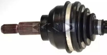 lobro-303625