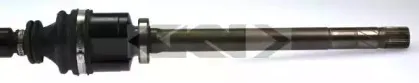 lobro-303626