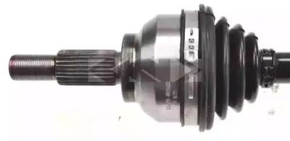 lobro-303628