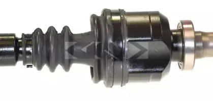 lobro-303635
