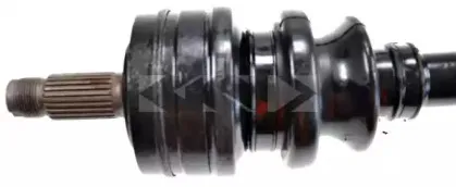 lobro-300690