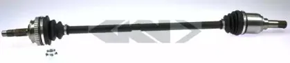 lobro-303659
