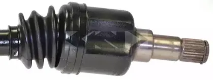lobro-304234