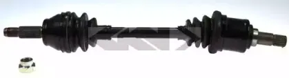 lobro-304270