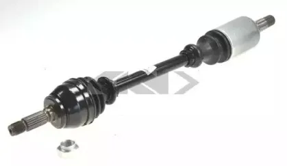 lobro-302912