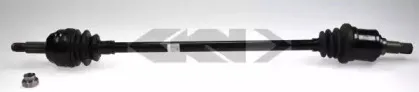 lobro-301359