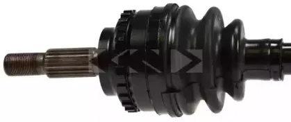 lobro-304300