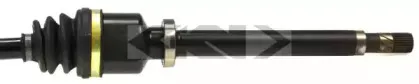 lobro-304341