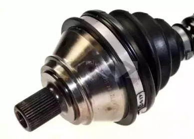 lobro-304356
