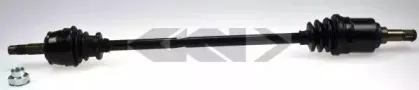 lobro-304367