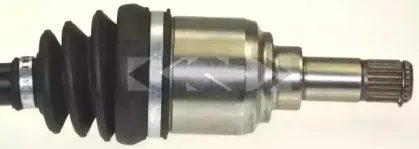 lobro-304374