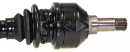 lobro-304378
