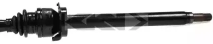 lobro-304379