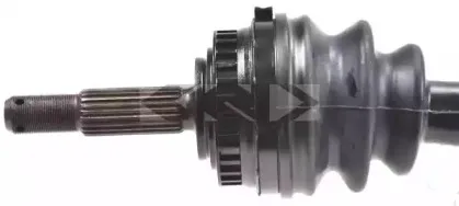 lobro-304405
