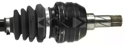 lobro-304408