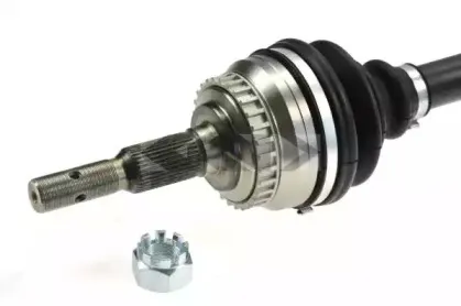 lobro-304410