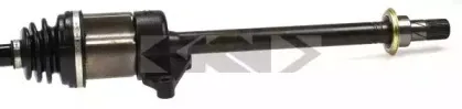lobro-304450