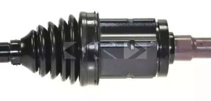 lobro-304496