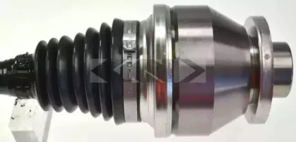 lobro-304506