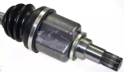 lobro-304533