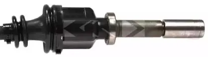 lobro-304563