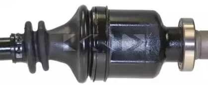 lobro-304565
