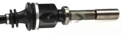 lobro-304567