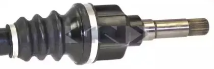 lobro-304573