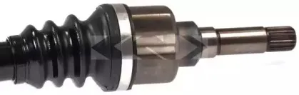 lobro-304577