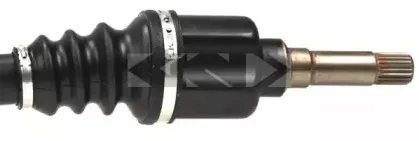 lobro-304589