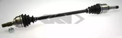 304591 LÖBRO