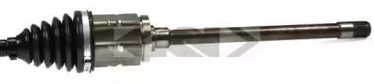 lobro-304621