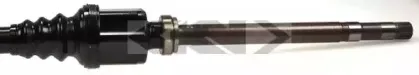lobro-304645